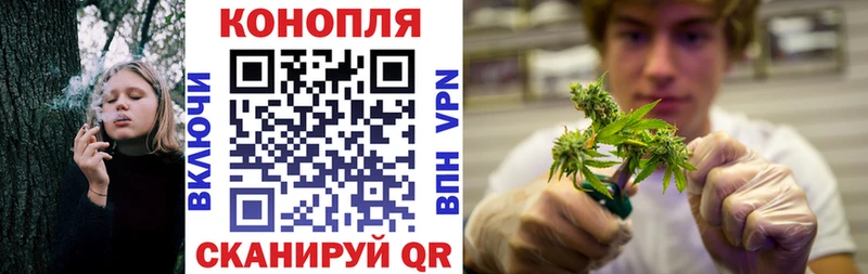 Купить закладку Марихуана  МДМА  A-PVP  МЕФ  ГАШИШ  Cocaine  Каменногорск