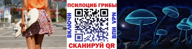 Галлюциногенные грибы ЛСД  Купить где  Каменногорск 
